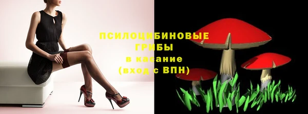 apvp Алзамай
